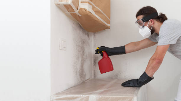 Professional Mold Removal technician working in Hume, VA